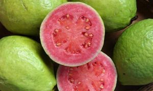 jambu biji