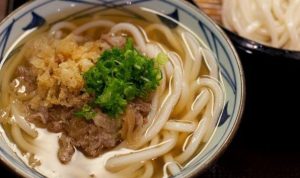 udon (1)