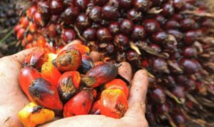 2023_04_29-19_35_06_788f4dd4-e68c-11ed-ade2-0a36aed4cb60_960x640_thumb