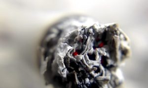bahasa-asap-rokok-dalam-ruangan-750x375