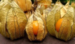 images-35-1