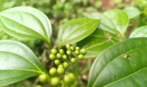 bfb88e2e-b1db-4637-b7ec-4951a65ea615