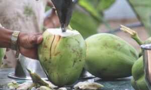 air-kelapa-750x375-1