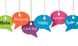 istockphoto-185250085-612x612