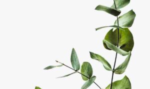 annie-spratt-hX_hf2lPpUU-unsplash_11zon