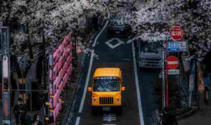 arif-angga-ibrahim-Xq3qoiLFWBE-unsplash_11zon