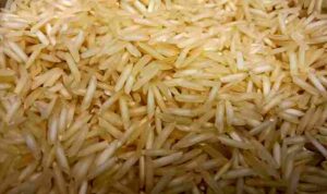 dasy-sha-KRG4gii6CMs-unsplash_11zon