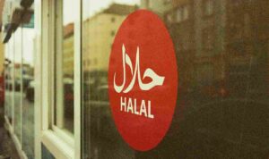 markus-spiske-t8X2vhiQC5E-unsplash_11zon