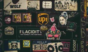 victoria-kubiaki-Tfm9GOO5Krc-unsplash_11zon